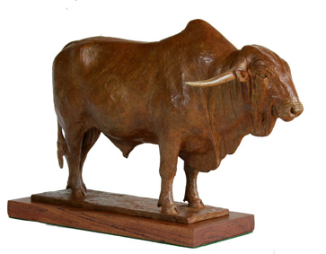 Afrikander bull bronze sculpture